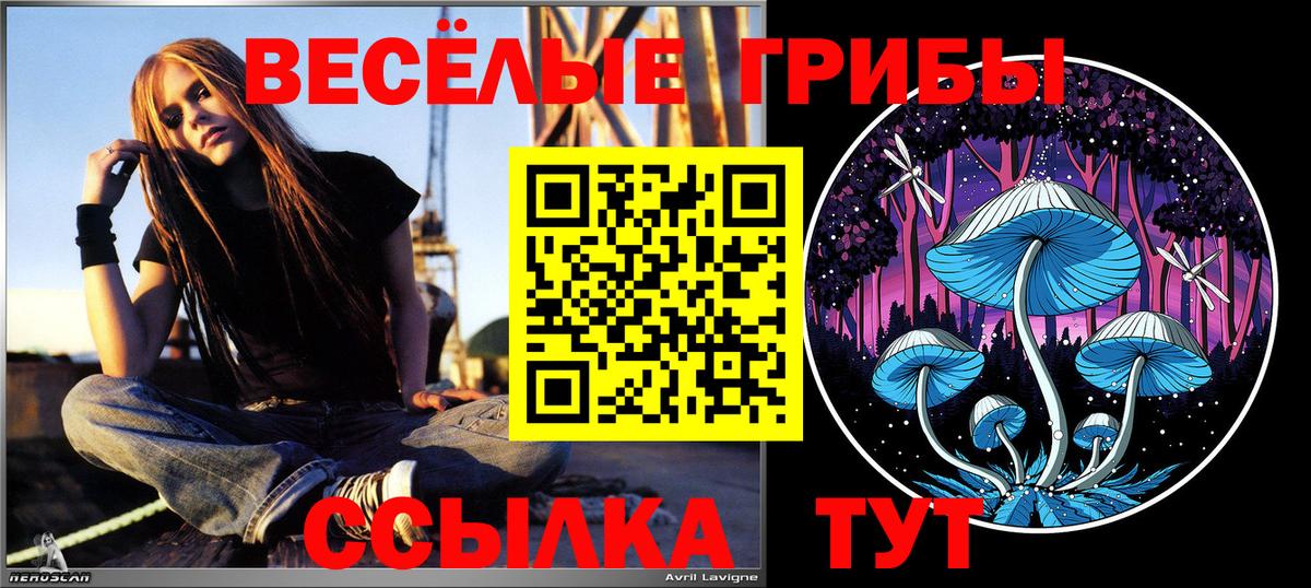 Галлюциногенные грибы MAGIC MUSHROOMS  Галлюциногенные грибы Cubensis  Вход с VPN  Саранск 