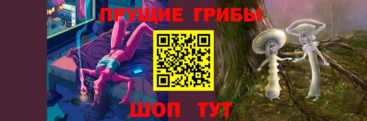 Псилоцибиновые грибы Psilocybe Саранск